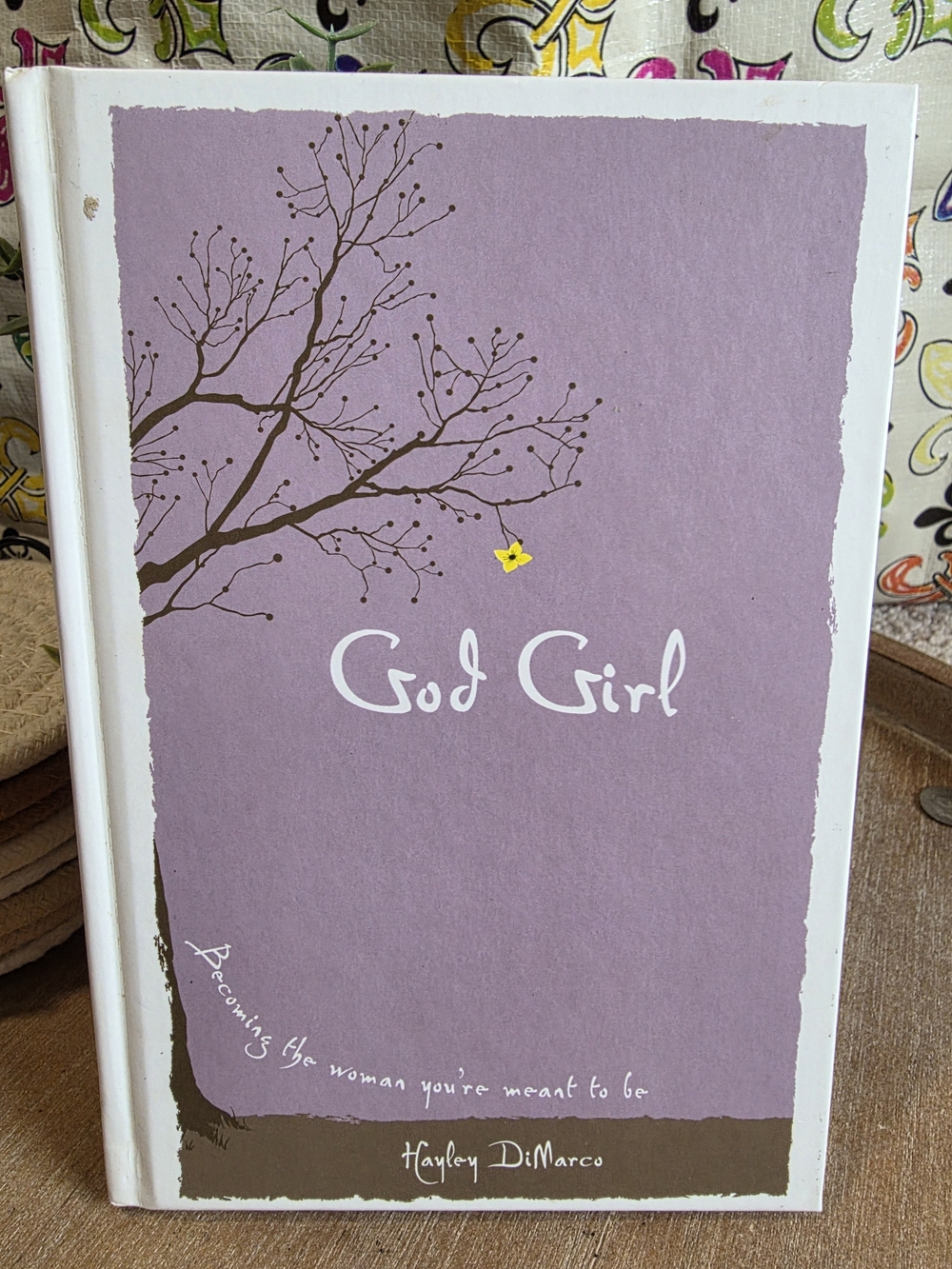 God Girl Hardcover Book - Hayley DiMarco (Revell / Hungry Planet)